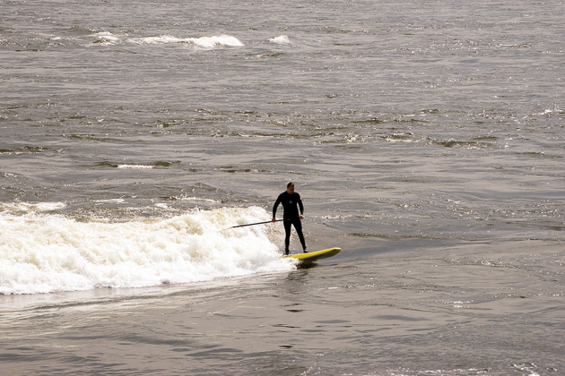 Surfing in Montreal