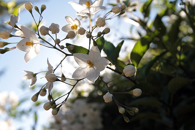 isitspring