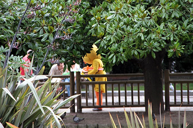 Tweety Bird in the park