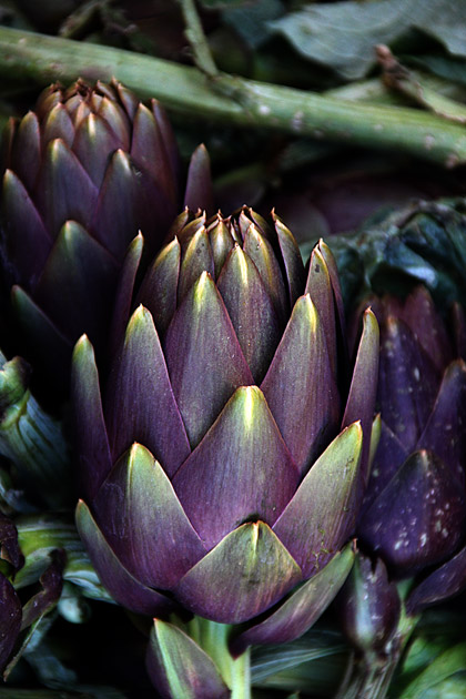 The Albergheria 5 Sicilian artichokes