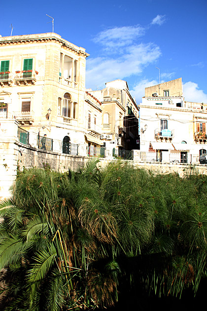 The Temple of Apollo and the Fountain of Arethusa 8 Papyrus Fountain