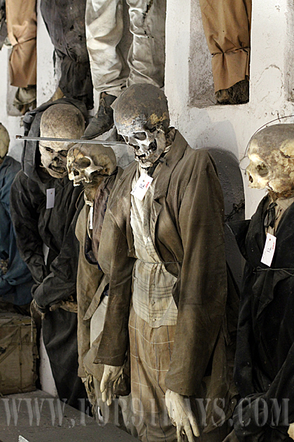 Skull Horror