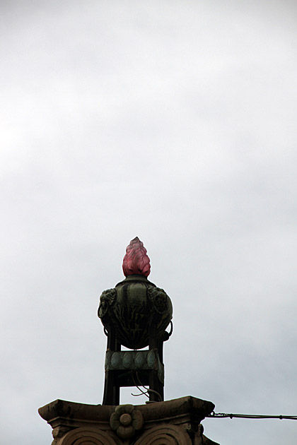 Pink Flame