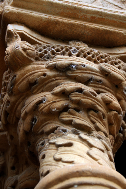 Wasp Hole