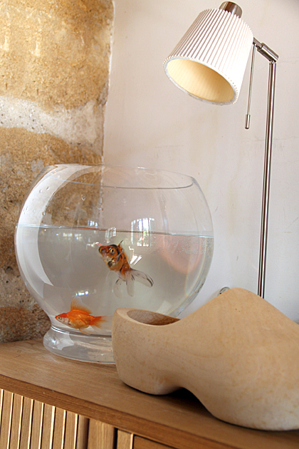 Sculpture Artist Daniele Franzella 8 Fish Bowl Palermo Sicily