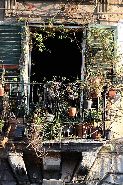 Balcon Garden