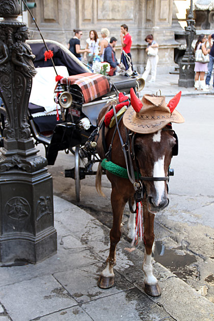 Horse In Fail