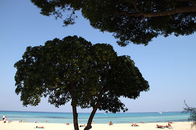 Mondello 11 Amazing Beach Sicily