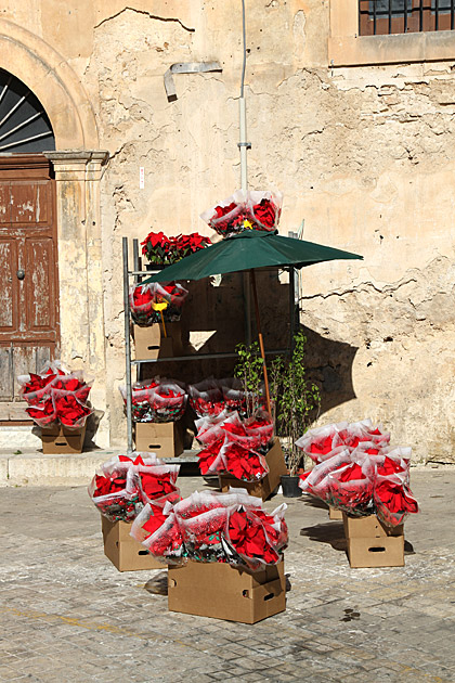Noto: Version 2.0 22 Christmas in Palermo