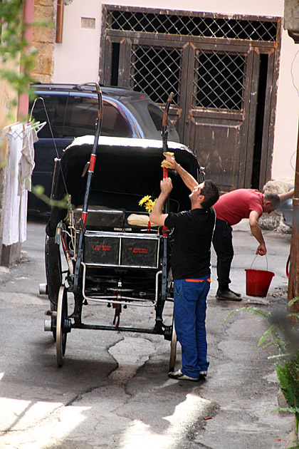 Horse Wash