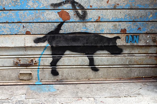 Street Art Ian