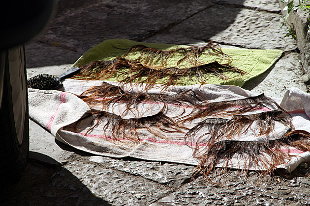 Weave Italy