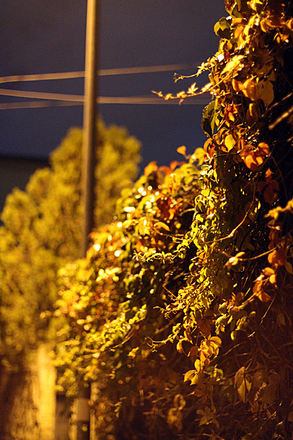 Palermo Mysteries 30 Night Photography Palermo Sicily