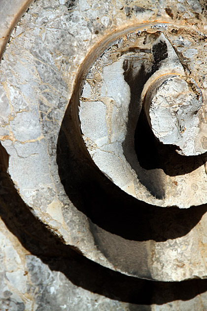 The Church and Oratory of San Domenico 6 Stone Snail