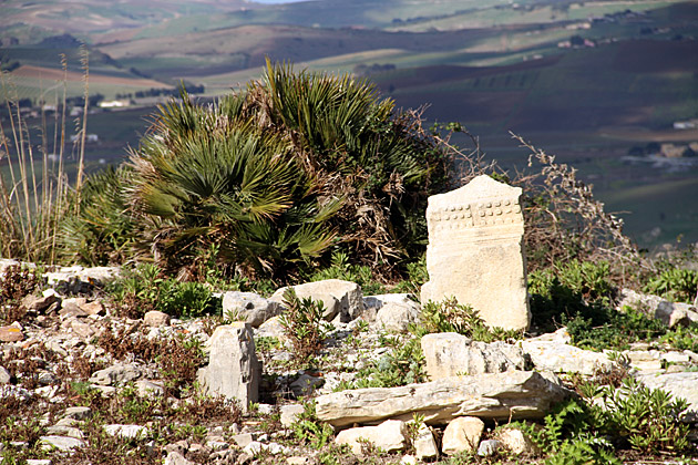 The Ruins of Segesta 13 Greek Lefovers