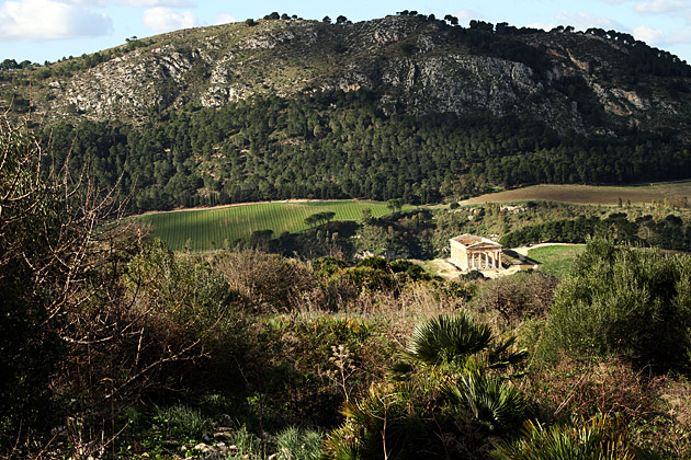 The Ruins of Segesta 1 Segesta