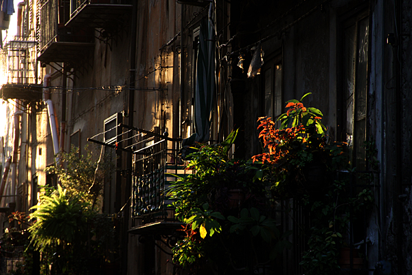 Balcony Garden