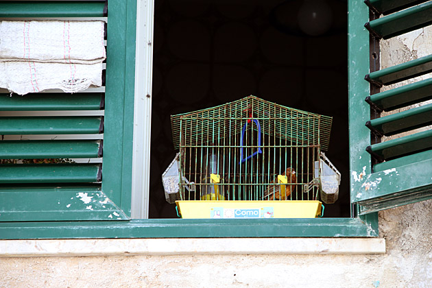 The Old Town of Trapani 40 Trapani Bird