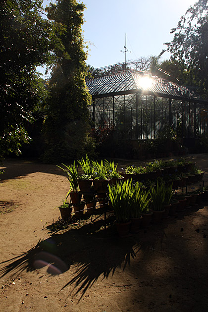 Villa Giulia and the Orto Botánico 7 Green House Palermo