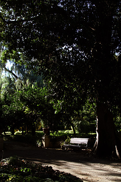 Villa Giulia and the Orto Botánico 16 Place of Silent
