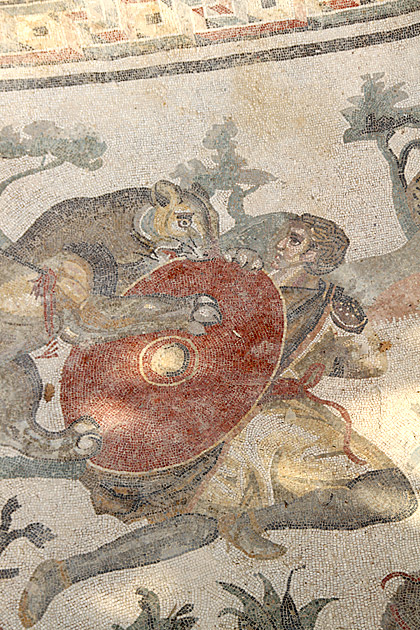 Villa Romana del Casale 14 Villa Romana del Casale wild cat attack