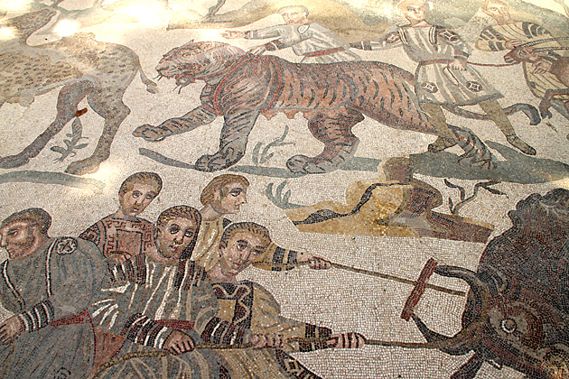 Villa Romana del Casale 16 Villa Romana del Casale tiger