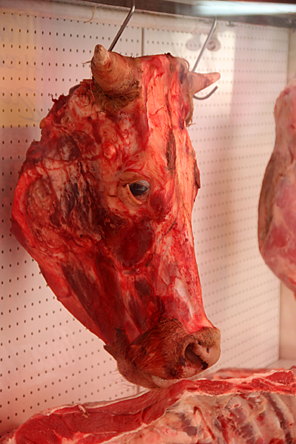 Cow Head