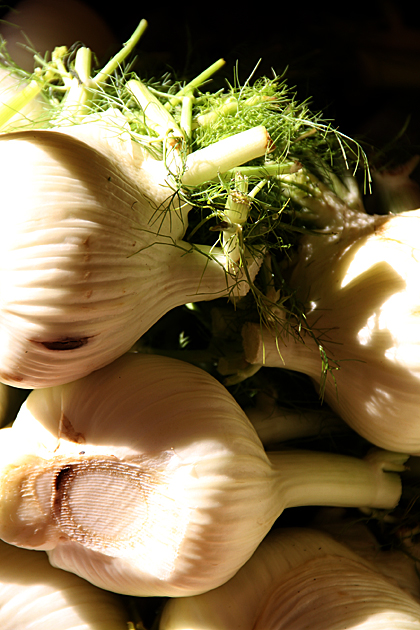 Fenchel