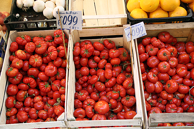 Fresh Tomatoes