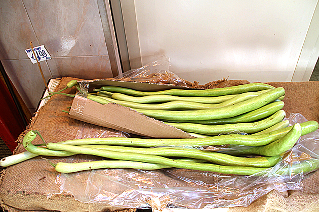 Italian Zucchini