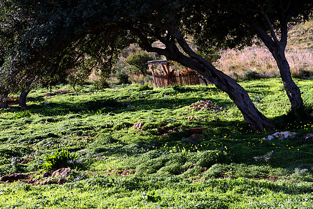 The Zingaro Natural Reserve 6 Dream Vacation Sicily