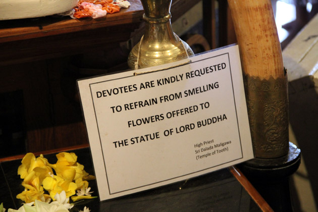 Don't smell flowers at the temple