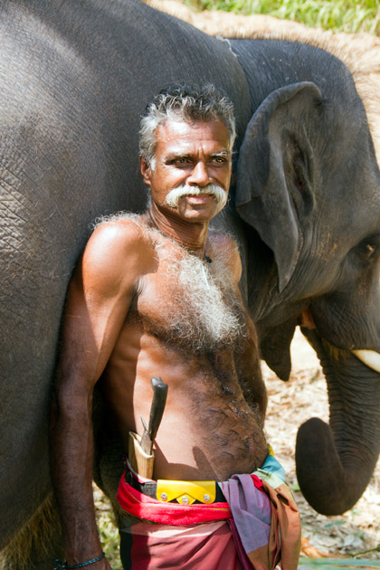 Elephant and man portraits