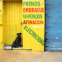a tour through barracas