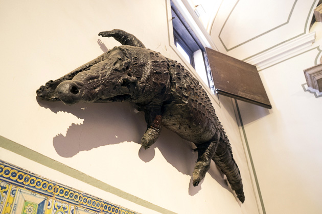 crocodile Plaza del Patriarca Valencia