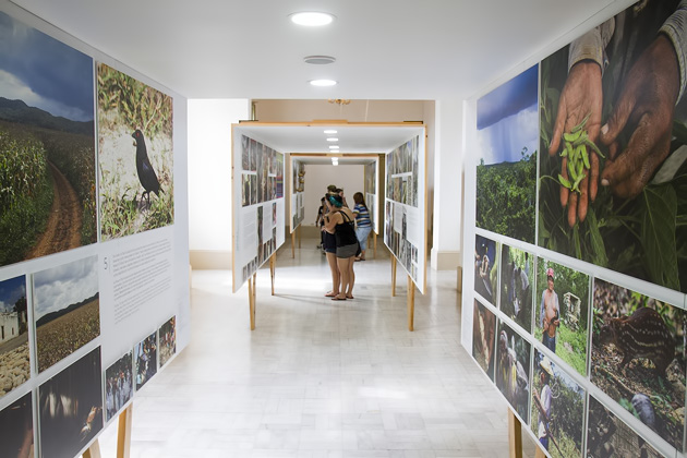 13%20Anthropology%20Museum%20in%20the%20Palacio%20Cantón%20Anthropology%20Museum%20in%20the%20Palacio%20Cantón%2020140103%20for91days.com