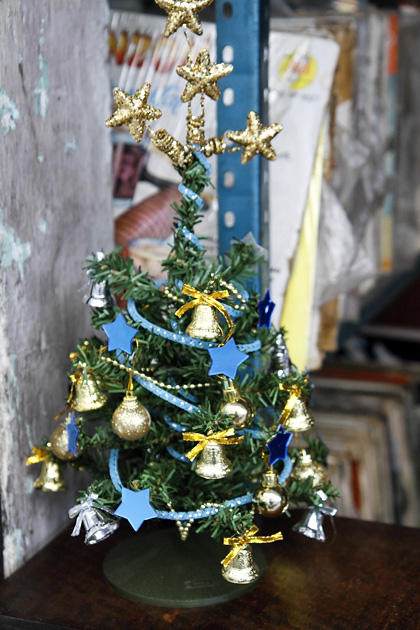 07%20Christmas%20Yucatan%20%2020131219%20for91days.com