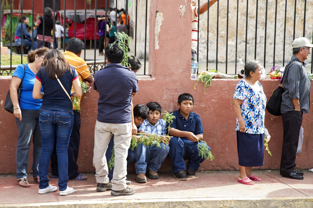 14%20Christmas%20Yucatan%20%2020140107%20for91days.com