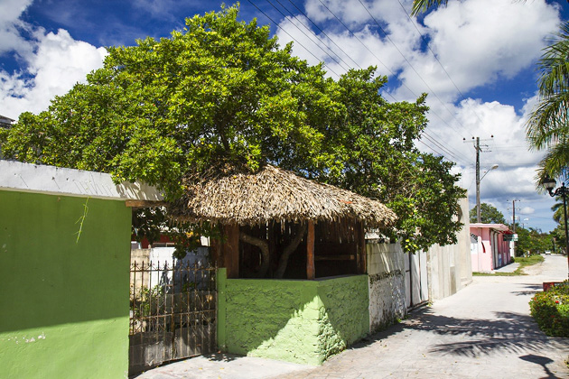 El Cedral and Cozumel's Eastern Coast 14 Cozumel%20Atlantic%20Coast%2014El%20Cedral%20and%20Cozumel’s%20Atlantic%20Coast%2020131124%20for91days.com