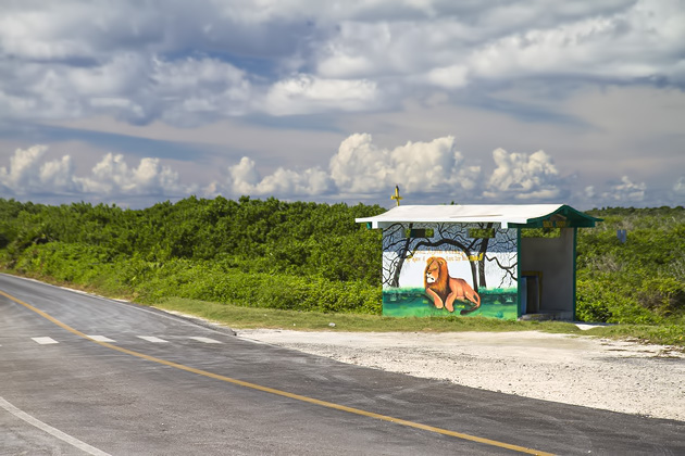 El Cedral and Cozumel's Eastern Coast 18 Cozumel%20Atlantic%20Coast%2018El%20Cedral%20and%20Cozumel’s%20Atlantic%20Coast%2020131124%20for91days.com