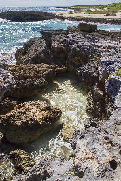 El Cedral and Cozumel's Eastern Coast 33 Cozumel%20Atlantic%20Coast%2033El%20Cedral%20and%20Cozumel’s%20Atlantic%20Coast%2020131125%20for91days.com