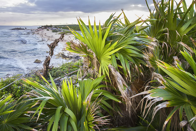 El Cedral and Cozumel's Eastern Coast 35 Cozumel%20Atlantic%20Coast%2035El%20Cedral%20and%20Cozumel’s%20Atlantic%20Coast%2020131125%20for91days.com