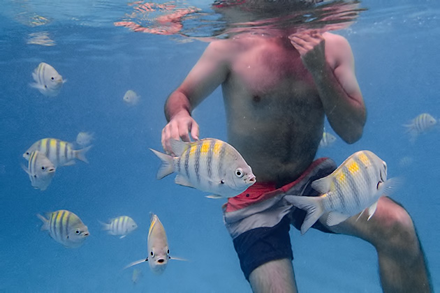 Man snorkeling Isla Mujeres' Garrafón Castilla with tropical fish.