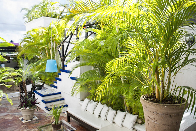 Three Great Cozumel Hotels 4 Hostelito%20Cozumel%2001%2020131123%20for91days.com