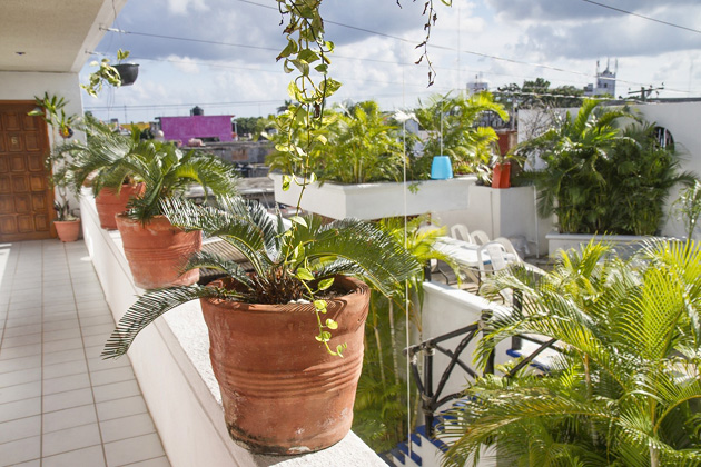 Three Great Cozumel Hotels 6 Hostelito%20Cozumel%2004%2020131123%20for91days.com