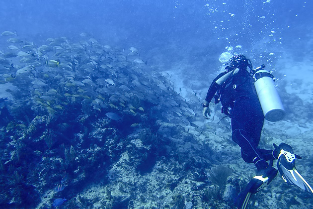 35%20Isla%20Mujeres%20Underwater%20Museum%20Manchones%20Reef%20Diving%20Isla%20Mujuere%2020131215%20for91days.com