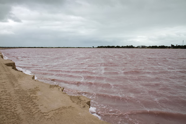 18%20Las%20Coloradas%20Salt%20Flats%20%20Las%20Coloradas%20Salt%20Flat%2020140107%20for91days.com