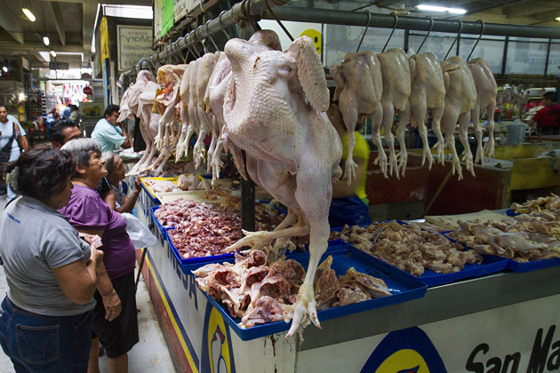 A Tour of Mérida's Markets 5 Markets%20Merida%2003Merida%20Market%2020131206%20for91days.com