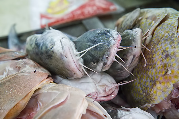 A Tour of Mérida's Markets 24 Markets%20Merida%2023Merida%20Market%2020131205%20for91days.com