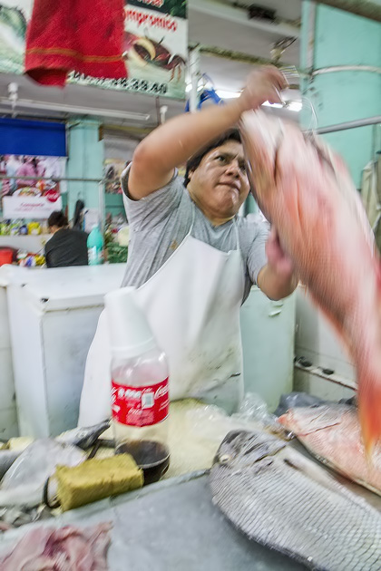 A Tour of Mérida's Markets 25 Markets%20Merida%2024Merida%20Market%2020131205%20for91days.com